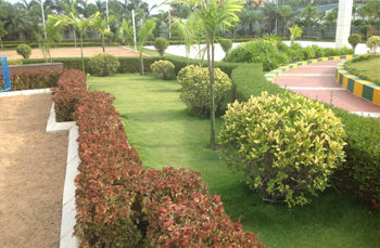 landscaping in chennai,landscape designers in chennai,garden maintenance in chennai,garden management in chennai, terrace gardens in chennai, swimming pool designers in chennai,